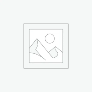 Smart Wireless Earbuds